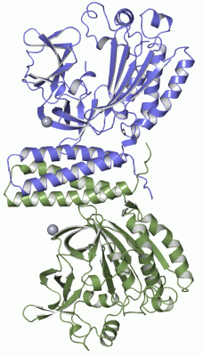 Image Asym./Biol. Unit - manually