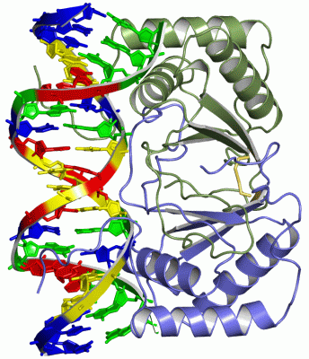 Image Asym./Biol. Unit - manually