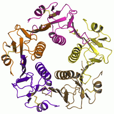 Image Asym./Biol. Unit - manually