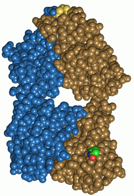 Image Asym./Biol. Unit - manually