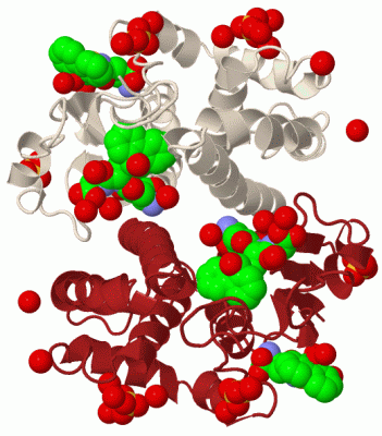 Image Biol.Unit 1 - manually