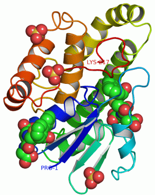 Image Asym.Unit - manually