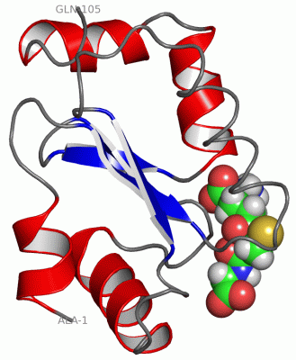 Image NMR Structure - manually