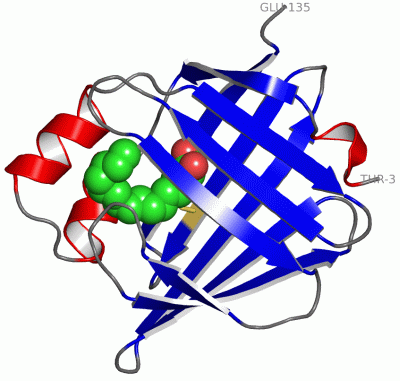 Image Asym./Biol. Unit - manually