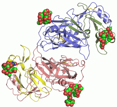 Image Asym.Unit - manually