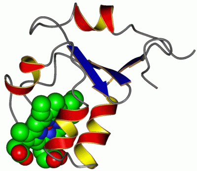 Image Asym./Biol. Unit - manually