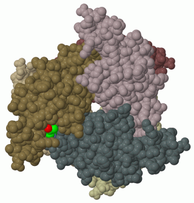 Image Biol.Unit 1 - manually