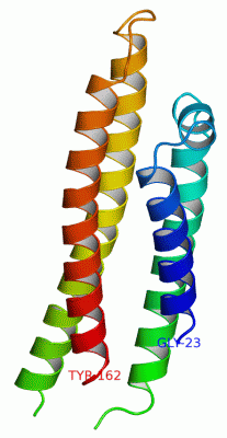 Image Asym./Biol. Unit - manually