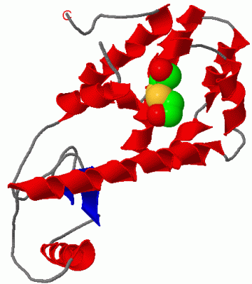 Image Asym./Biol. Unit - manually