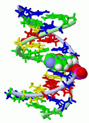 Image NMR Structure - manually