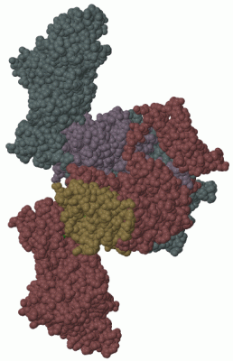 Image Biol.Unit 1 - manually