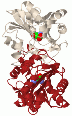 Image Biol.Unit 1 - manually