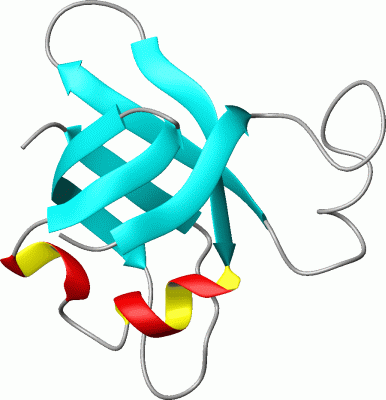 Image NMR Structure - manually