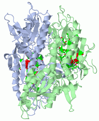 Image Asym./Biol. Unit - manually