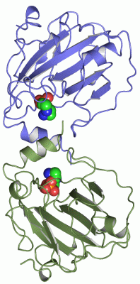 Image Asym./Biol. Unit - manually