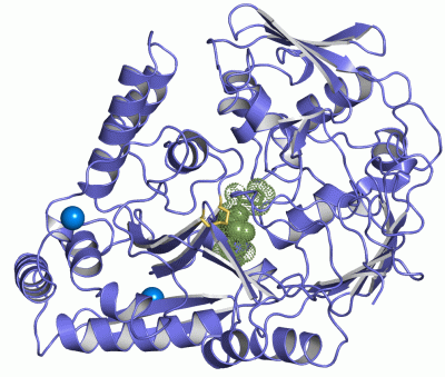 Image Asym./Biol. Unit - manually