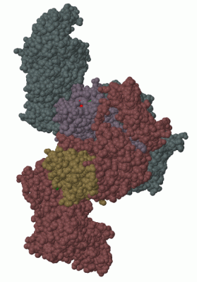 Image Biol.Unit 1 - manually