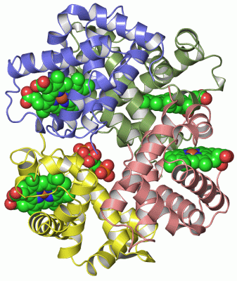 Image Asym./Biol. Unit - manually