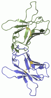 Image Asym./Biol. Unit - manually