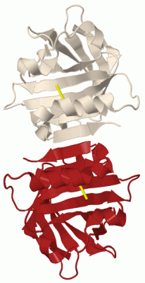 Image Biol.Unit 1 - manually