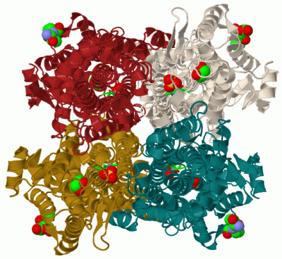 Image Biol.Unit 1 - manually