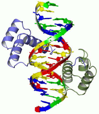 Image Asym./Biol. Unit - manually