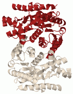 Image Biol.Unit 1 - manually