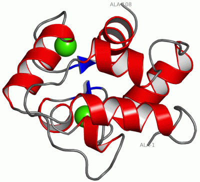 Image Asym./Biol. Unit - manually
