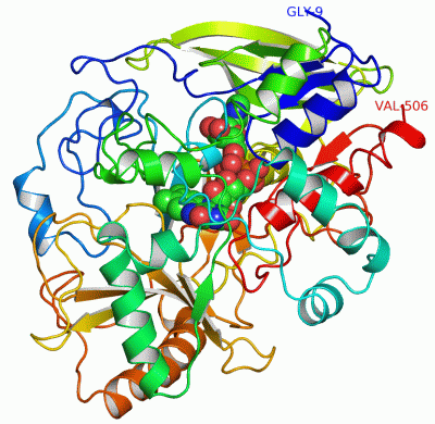 Image Asym./Biol. Unit - manually