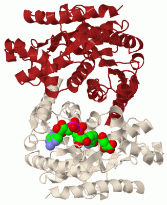 Image Biol.Unit 1 - manually