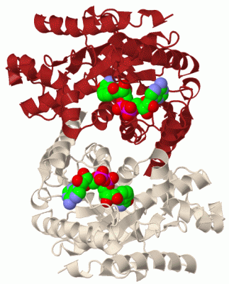 Image Biol.Unit 1 - manually