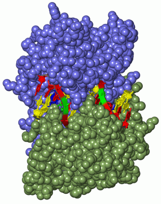 Image Asym./Biol. Unit - manually