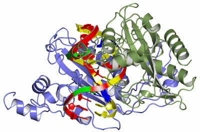 Image Asym./Biol. Unit - manually