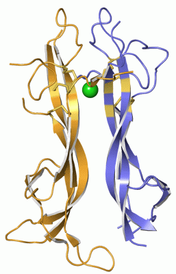 Image Asym./Biol. Unit - manually