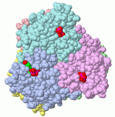 Image Asym./Biol. Unit - manually