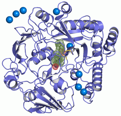 Image Asym./Biol. Unit - manually