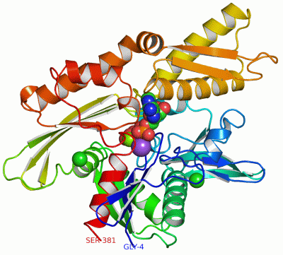 Image Asym./Biol. Unit - manually