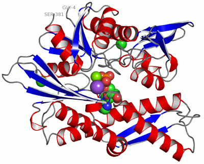 Image Asym./Biol. Unit - manually