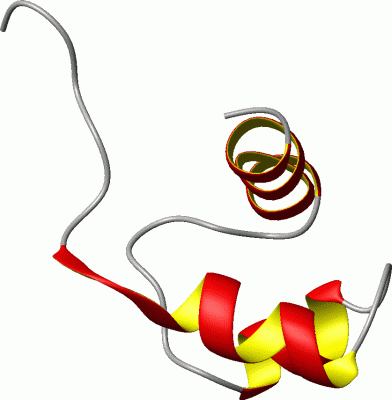 Image NMR Structure - manually