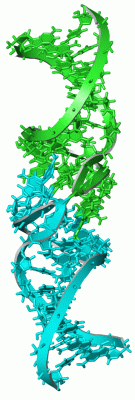 Image NMR Structure - manually