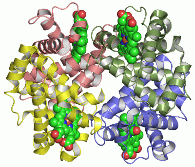 Image Asym./Biol. Unit - manually