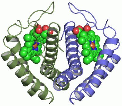 Image Asym./Biol. Unit - manually