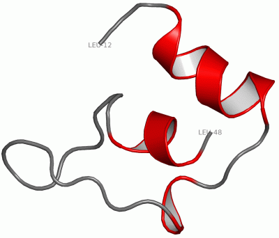 Image NMR Structure - manually