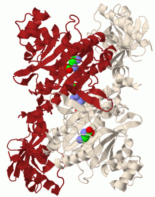 Image Biol.Unit 1 - manually