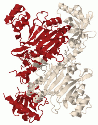 Image Biol.Unit 1 - manually