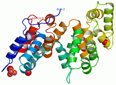 Image Asym./Biol. Unit - manually