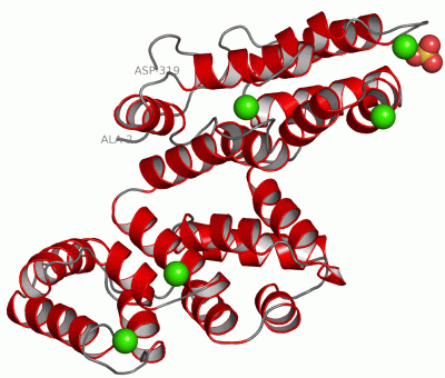 Image Asym./Biol. Unit - manually