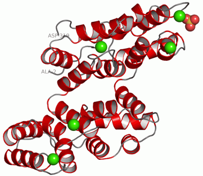 Image Asym./Biol. Unit - manually