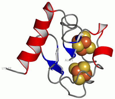 Image NMR Structure - manually