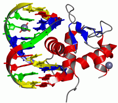 Image Asym./Biol. Unit - manually